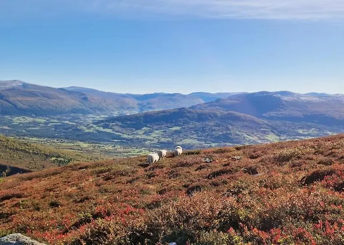 Haugen Gård Oppdal