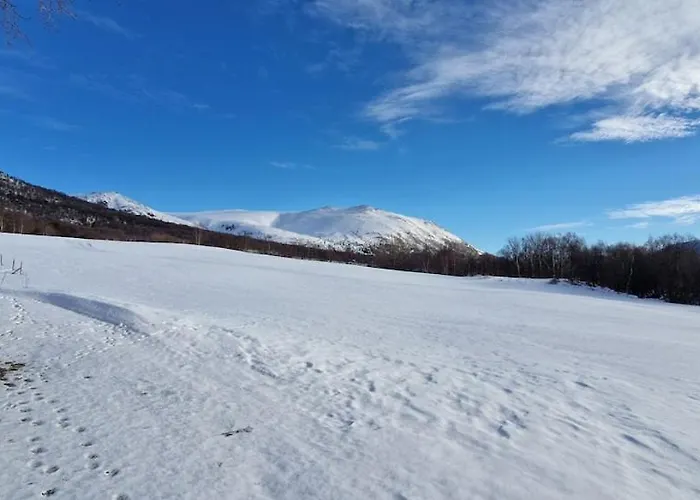 Haugen Gård Ferienhaus Oppdal